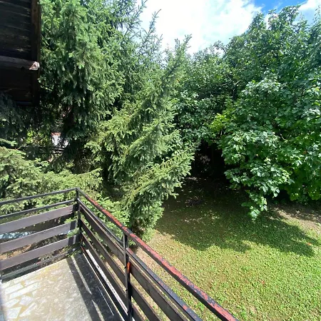 Simsir Novi Sad Wifi