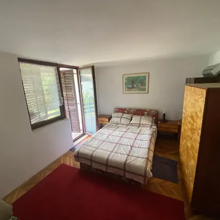 Simsir Novi Sad Wifi Tatil Evi