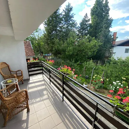 Simsir Novi Sad Wifi Tatil Evi