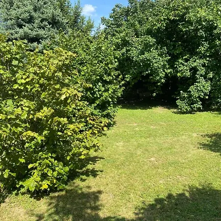 Simsir Novi Sad Wifi