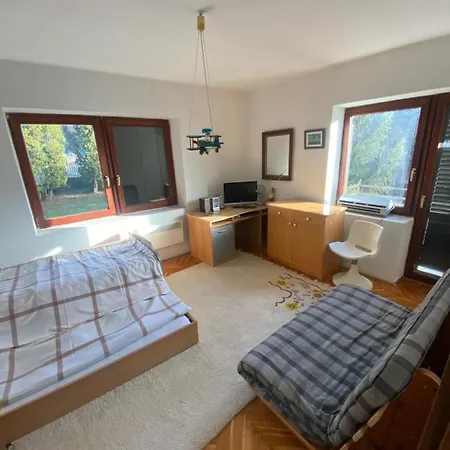 Simsir Novi Sad Wifi Tatil Evi *