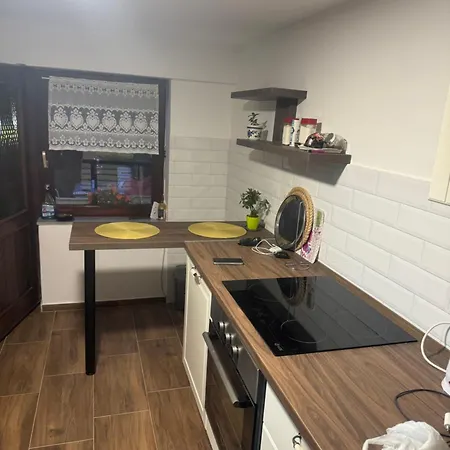 Tatil Evi Simsir Novi Sad Wifi Sremska Kamenica